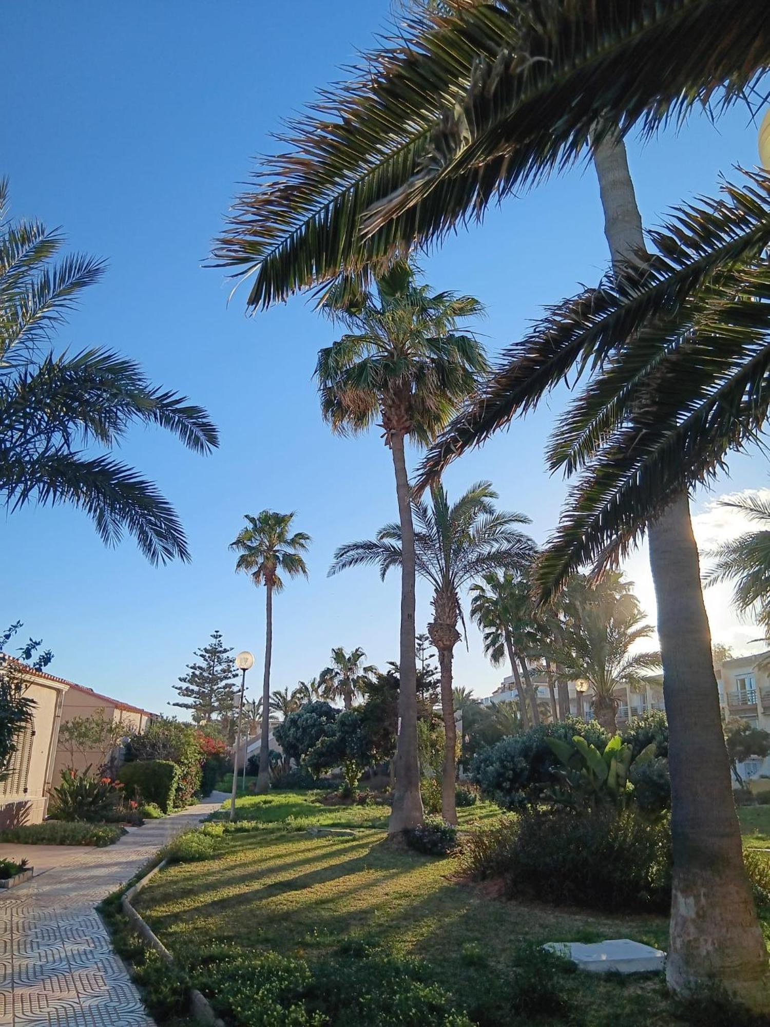Tropicana Playa Roquetas de Mar Dış mekan fotoğraf